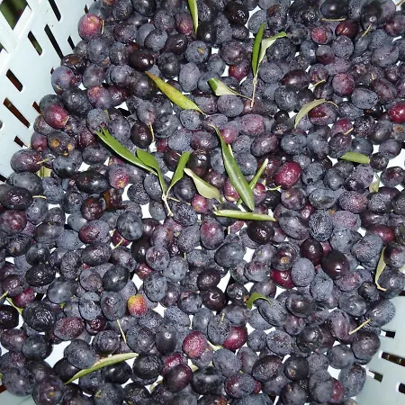 Umbria-tuscany With Pool Ravigliano