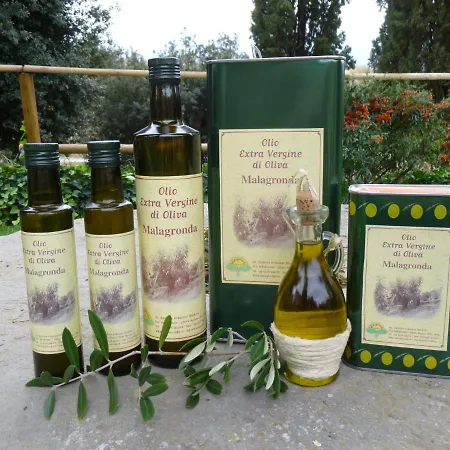 Umbria-tuscany With Pool Сasa de vacaciones